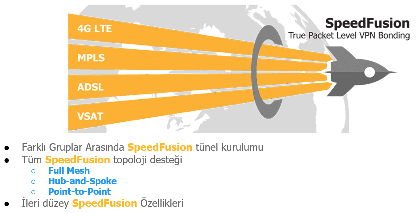 SD-WAN Yönetimi